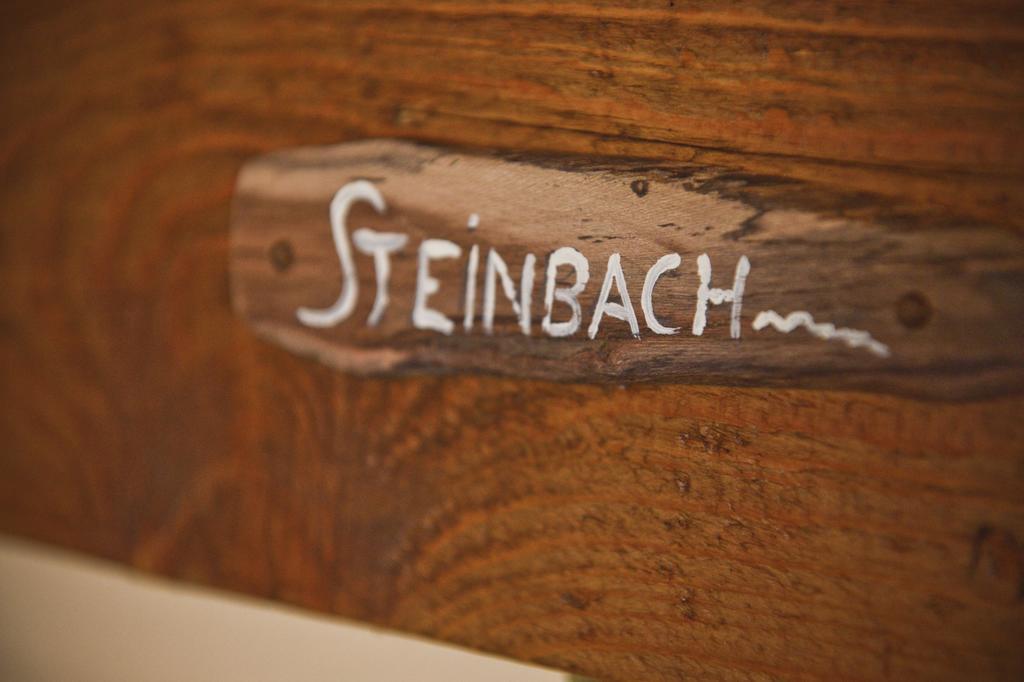 Pension Zierlinger Senftenberg Exteriér fotografie